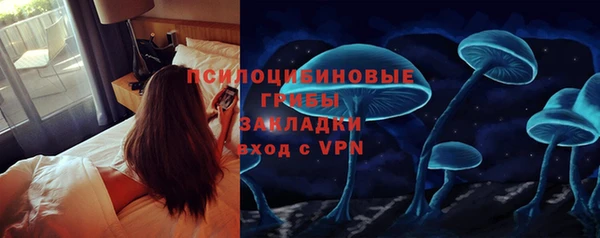 соль ск Балахна