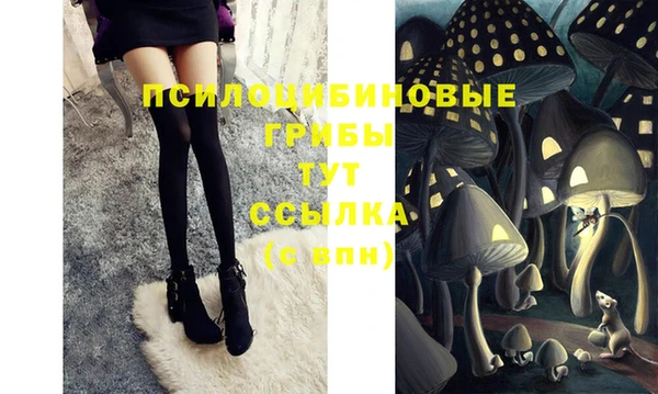 соль ск Балахна
