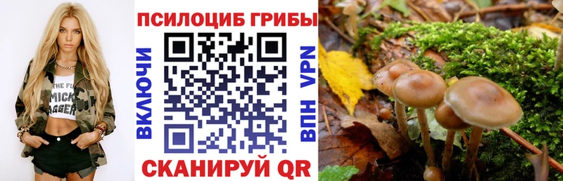 где найти наркотики  Зарайск  Галлюциногенные грибы ЛСД 